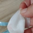셀그래프트