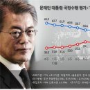 문재인 국정지지율 20%대 폭락은 단지 진행중인 사실일뿐............ㅎㅋ 이미지