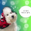 김가네설렁탕 | 김가네 부산 바캉스 1탄