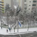 순달소흘부 이미지