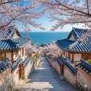 전통선술 | [술집] 연산동 술집 추천, 이자카야 잇빠이에서 즐기는 특별한 부니기와 은은한 조명 아래에서 먹는...