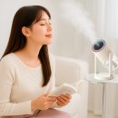 놀소프트 이미지