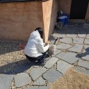 도암스테이 이미지