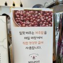 밀팟제주 이미지