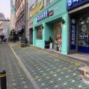 메종동물병원 이미지