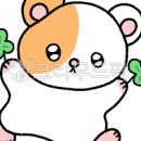 쥐가 많이 나오는 꿈 쥐잡는꿈해몽 햄스터 나오는 꿈을 알아보니 이미지