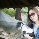용문벨라지오 이미지