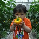 원주큰별어린이집 이미지