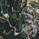 안남로(대청로) 이미지