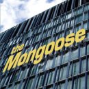 몽구스(Mongoose)