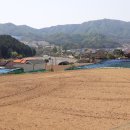 홍천부동산공인중개사사무소 이미지