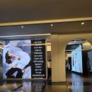 8포인트 | 맞춤예복 계약 꿀팁 & 내돈내산 해리슨테일러 상담 및 계약 솔직 후기