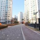 가락가스 이미지