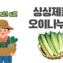 🍀 2025 싱싱제철 오이 나누기 신청 안내 🍀 이미지
