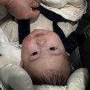 부산 이마트 문화센터 연제점 컬처클럽 애기똥풀 봄학기 후기