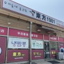 동방1981 이미지