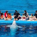 거제꽃날펜션.리조트 이미지