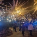 구성마을 입구 ~ 구성마을 이미지