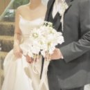 수문축사 | ✨ 플래너없이 신부 혼자 준비한 본식 후기 (신도림라마다 세인트그레이스홀/ 8월 오후 예식)