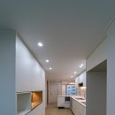 국화한신 이미지