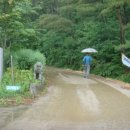 무릉도원면-27 이미지