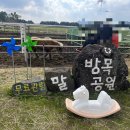 스텔라떡볶이제주아라점 이미지
