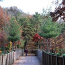 우장산공원길 이미지