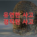 유연한사고
