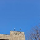 회원동165 이미지