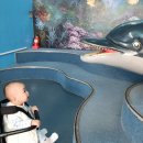 돌고래약품 이미지