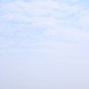 국수사랑 이미지