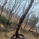 조광약수터 이미지