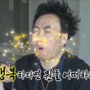 욜로욜로 이미지