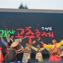 괴산고추축제 이미지