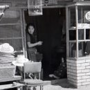 순진한가 이미지