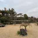 삼오정원 이미지