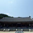 자연탐