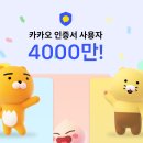 카카오일 이미지