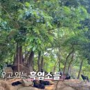 마리아 농장 이미지