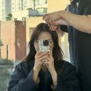 강남구청역미용실 [강은 미용실 뿌리 염색 찐 후기!] 채광 가득한 통창 뷰, 푸릇푸릇 힐링 공간에서...