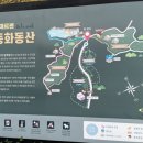안데르센 동화동산 | 기장 안데르센 동화마을로 아이랑 가을숲 나들이가요