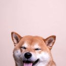 젬마스튜디오아트레이블 네이버블로그