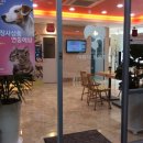 정이동물병원 이미지