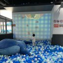 안양슈퍼 이미지