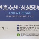 신진도수산