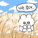 사북중고등학교 정문 앞 | 9월 비오는 민둥산 등산하기