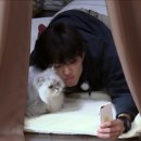 고양이민박 이미지