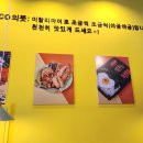 포코포코다산지금점