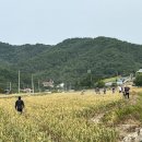 형주농원 이미지