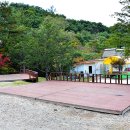 자일랜드